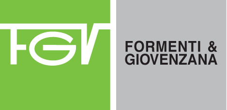 FGV logo